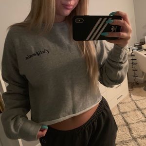 Pacsun crop sweatshirt